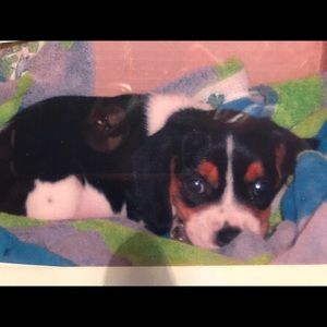 Meet your Posher, Catherine